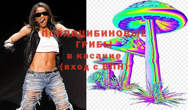 прущая мука Алексин