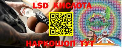 прущие грибы Новодвинск