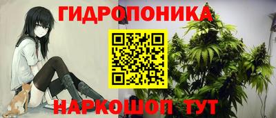 каннабис Новокубанск