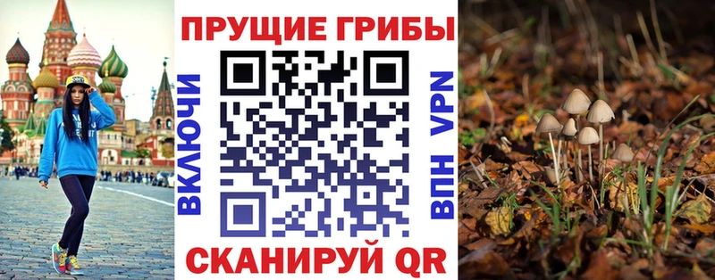 дарк нет какой сайт  Тайшет  Псилоцибиновые грибы Psilocybine cubensis 