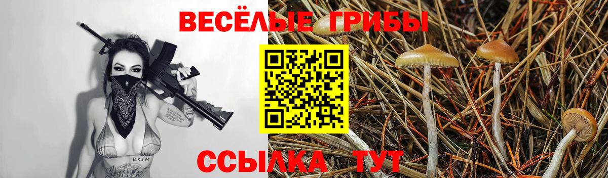 Галлюциногенные грибы Psilocybine cubensis Тайшет